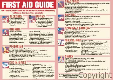 Driver's responsibility first aid procedures essay